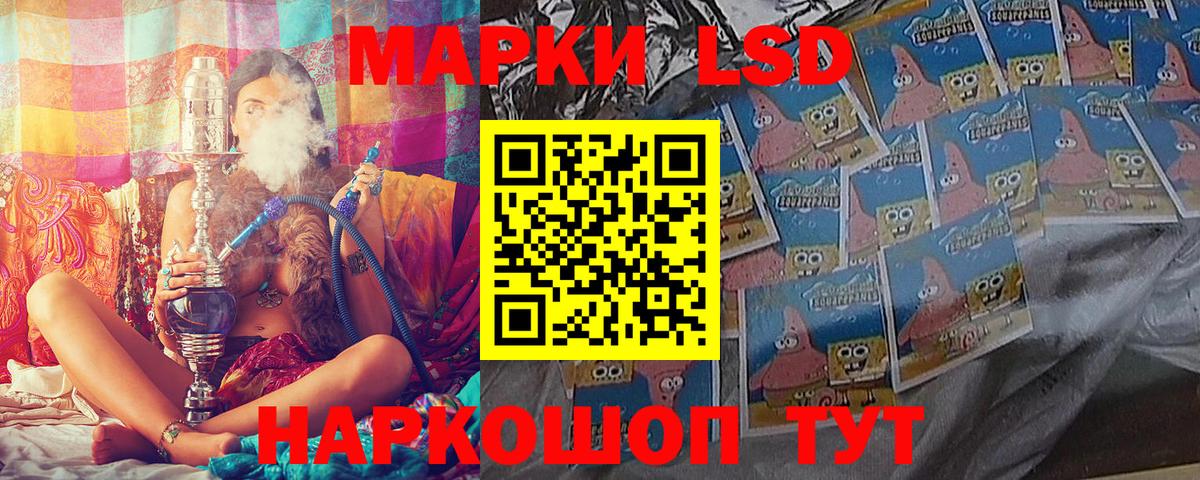 где найти наркотики  Марки 25I-NBOMe 1,5мг  Вход с VPN  Марки 25I-NBOMe 1,5мг  Камышлов 