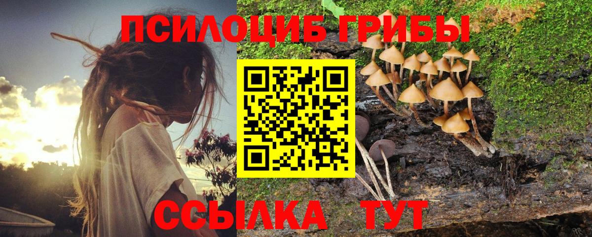 Галлюциногенные грибы мицелий Камышлов